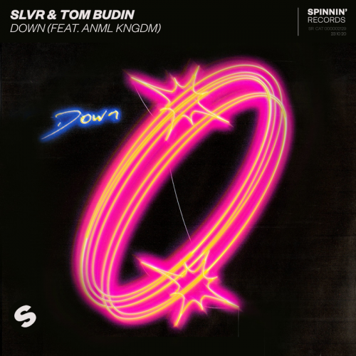 Down - SLVR & Tom Budin feat. ANML KNGDM