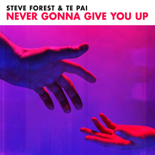 Never Gonna Give You Up - Steve Forest & Te Pai