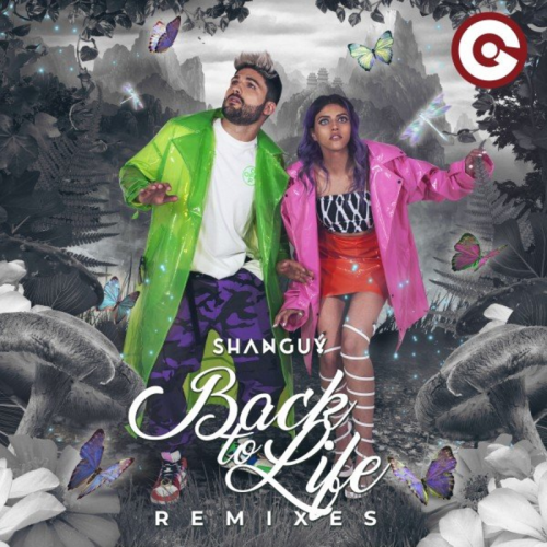 Back to Life (Cyril M Remix) - Shanguy