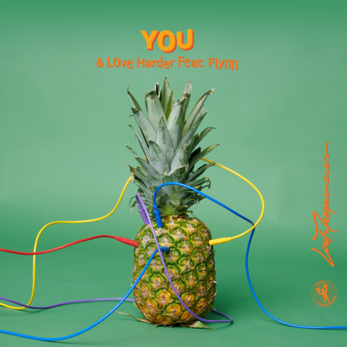 You (Honey & Badger Remix) - Lost Frequencies & Love Harder feat. FLYNN