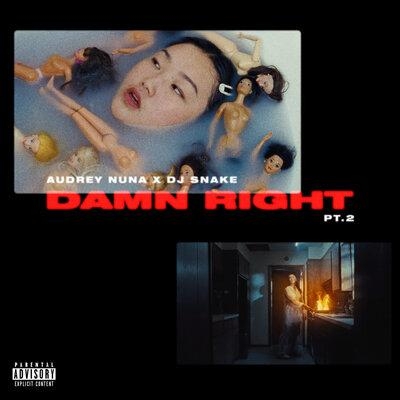 damn Right Pt. 2 - AUDREY NUNA, Dj Snake