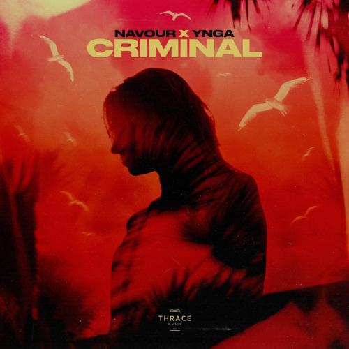 Criminal - Navour