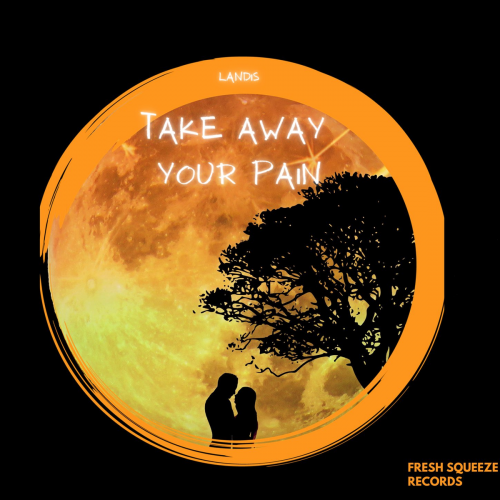 Take Away Your Pain - Landis