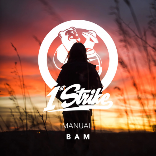 BAM - Manual.