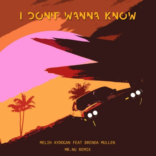 I Don't Wanna Know (Mr.Nu Remix) - Melih Aydogan feat. Brenda Mullen