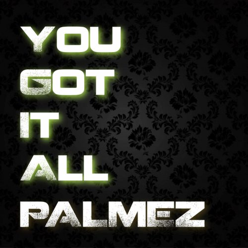 You Got It All (Edit Version) - Palmez