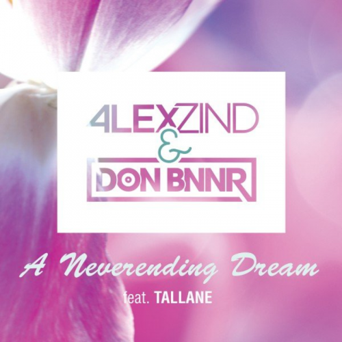 A Neverending Dream - Alex Zind & Don Bnnr feat. Tallane