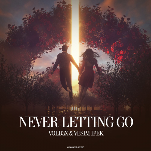 Never Letting Go - VOLB3X & Vesim Ipek