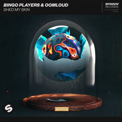 Shed My Skin - Bingo Players & Oomloud