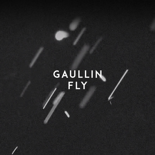Fly - Gaullin