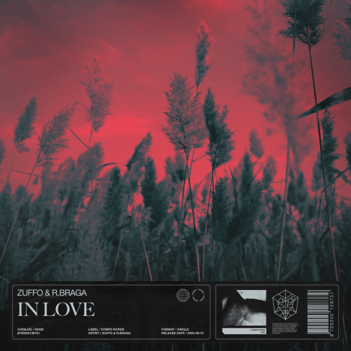 In Love - Zuffo & R.Braga