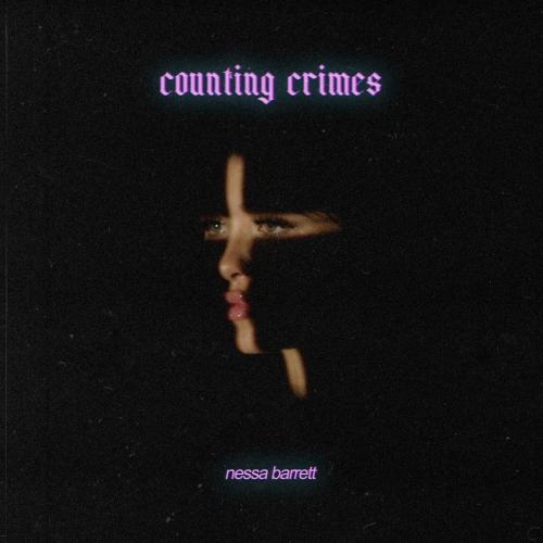 Counting Crimes - Nessa Barrett