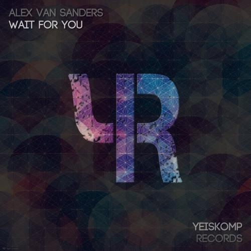 Wait For You - Alex van Sanders