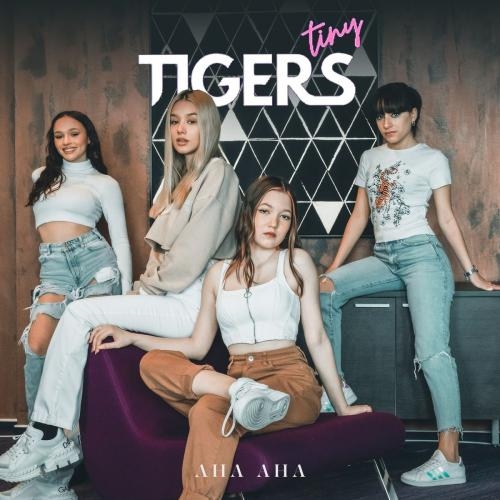 AHA AHA - Tiny Tigers