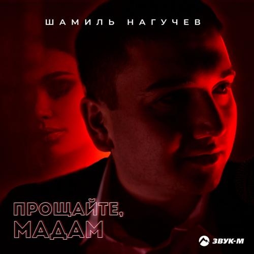 Прощайте Мадам - Шамиль Нагучев