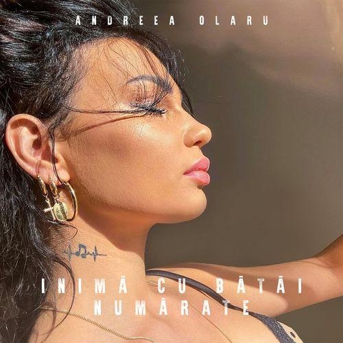 Inimă cu bătăi numărate - Andreea Olaru