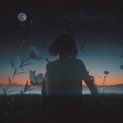 Dreamer - Orkid