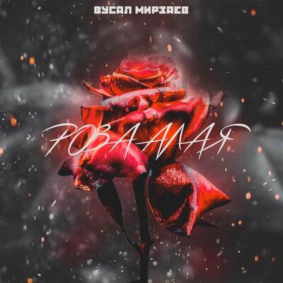 Роза алая - Вусал Мирзаев