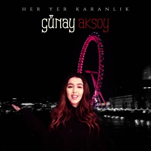 Her Yer Karanlık - Günay Aksoy