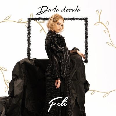 Du-Te Dorule - Feli