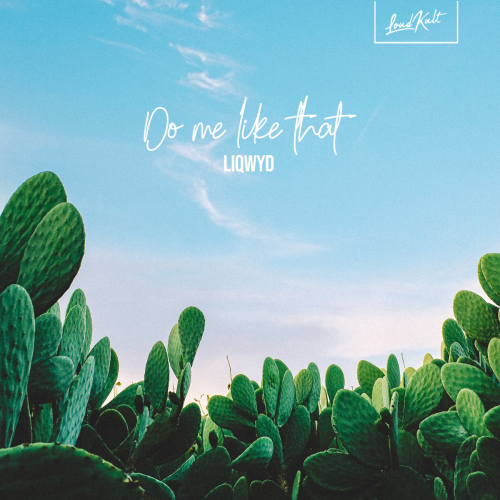Do Me Like That - LiQWYD