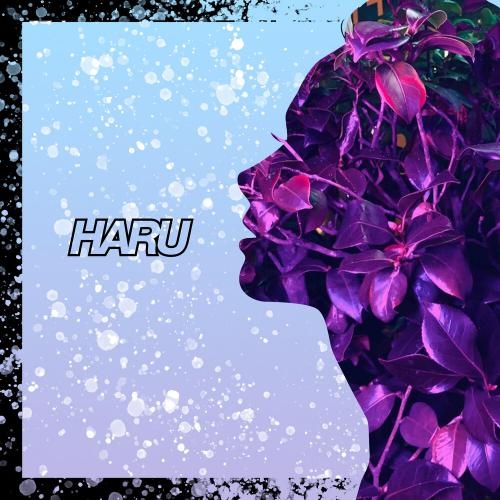 Go Luv - HARU