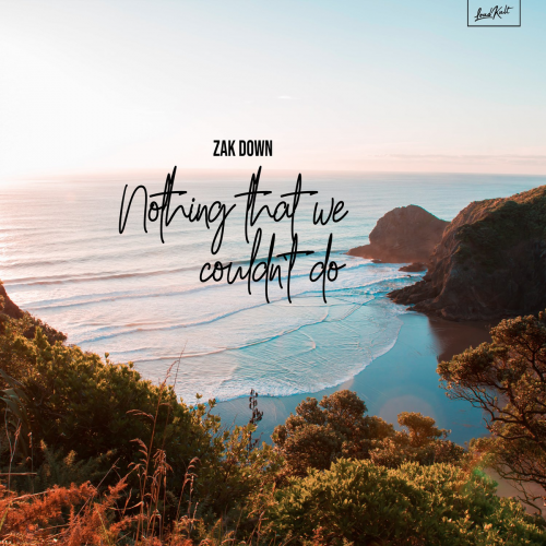 Nothing That We Couldn't Do - Zak Down