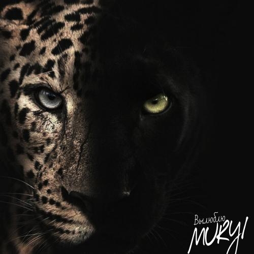 Вылюблю - MURYI