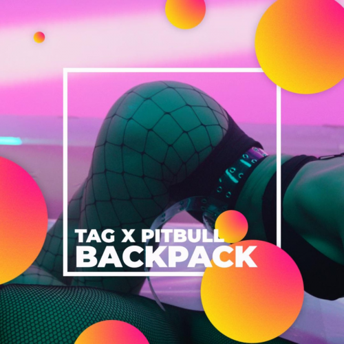 Backpack - Tag & Pitbull