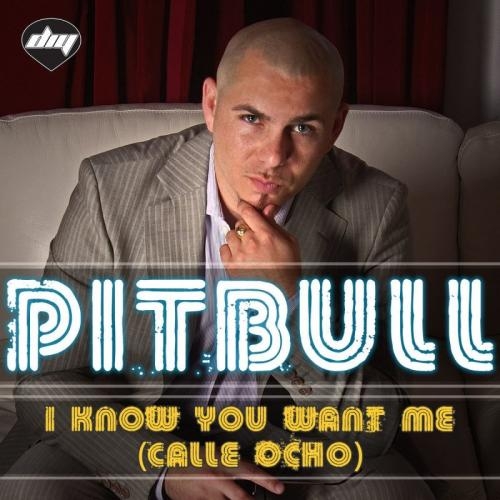 I Know You Want Me (Calle Ocho) - Pitbull