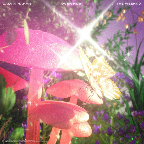 Over Now - Calvin Harris & The Weeknd