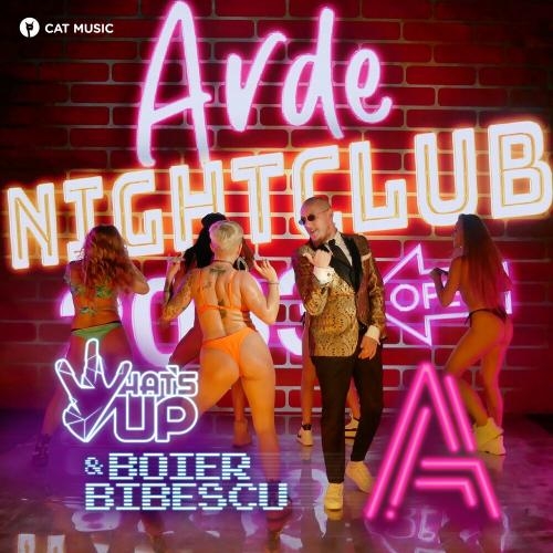 A - What s Up, Boier Bibescu
