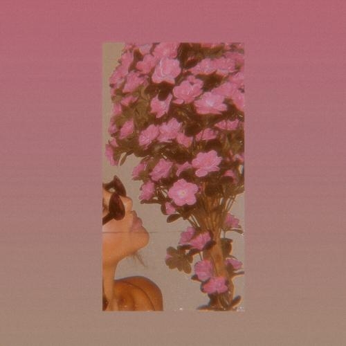 Плеяды - ANI