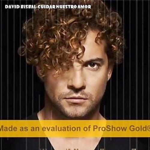 Amor Ame - David Bisbal