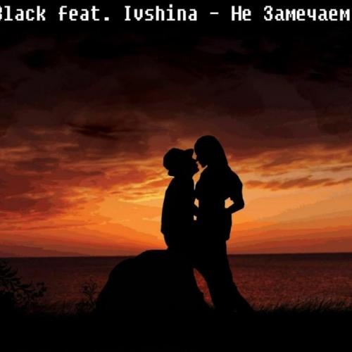 Не Замечаем - Ivan Black feat. Ivshina