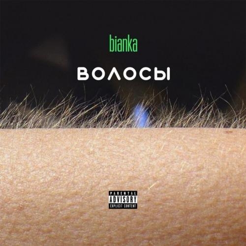 Василёк - Бьянка
