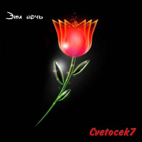 Эта ночь - Cvetocek7