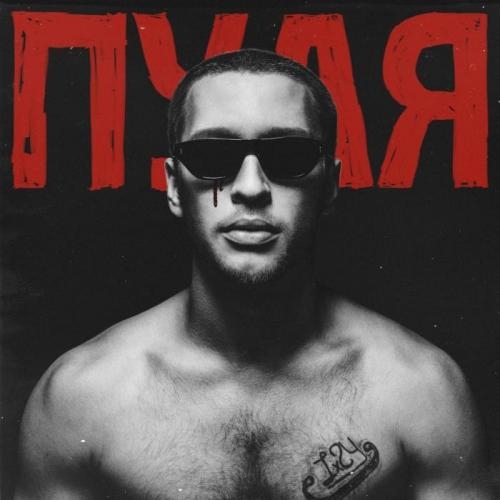 Пуля - Lx24