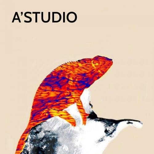Хамелеоны - A'Studio