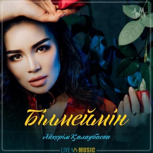 Білмеймін - Айкерім Қалаубаева