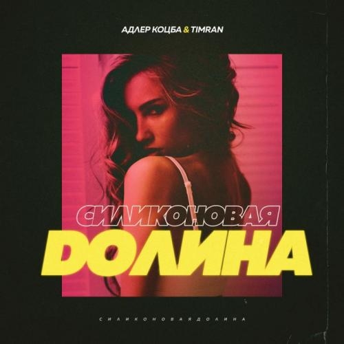 Силиконовая долина - Адлер Коцба & Timran