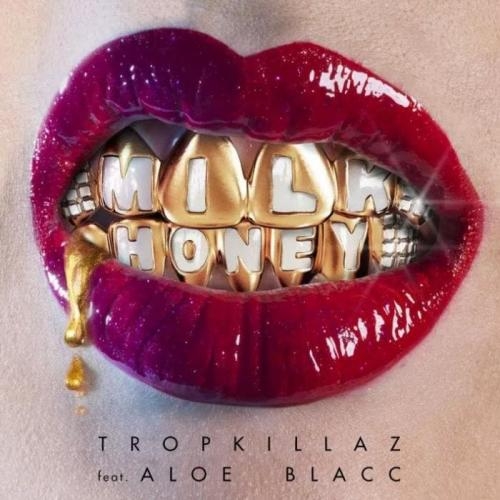 Milk & Honey - Tropkillaz feat. Aloe Blacc