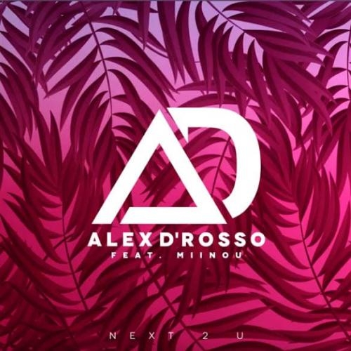 Next 2 U - Alex D Rosso feat. Miinou