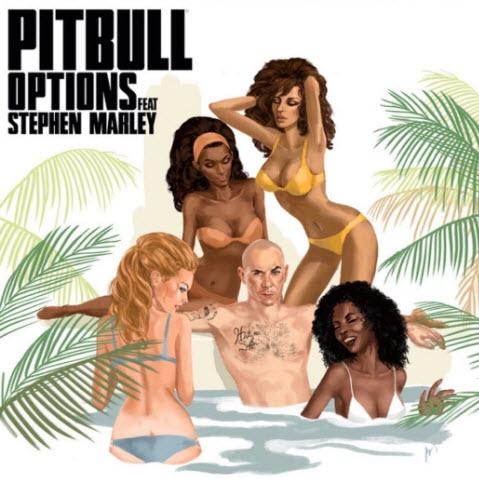 Options (Chuckie Remix) - Pitbull feat. Stephen Marley