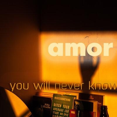 You Will Never Know - AMOR