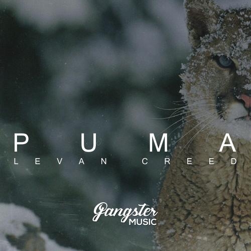 Puma - LEVAN CREED