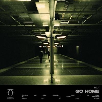 Go Home - QDJI