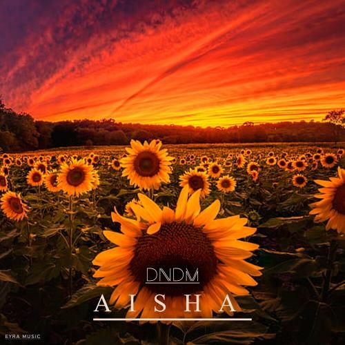 Aisha - DNDM