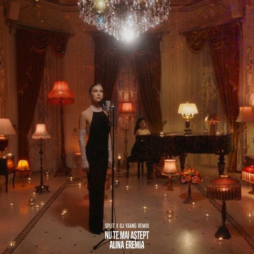 Nu Te Mai Astept (Split X DJ Yaang Remix) - Alina Eremia