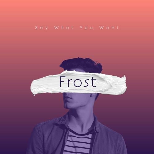 Say What You Want - Frost